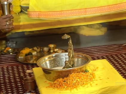 Maa Bagalamukhi Pooja - Narwar Dham